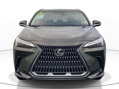 2024 Lexus NX NX 250