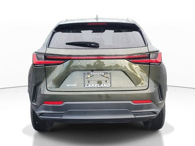 2024 Lexus NX NX 250
