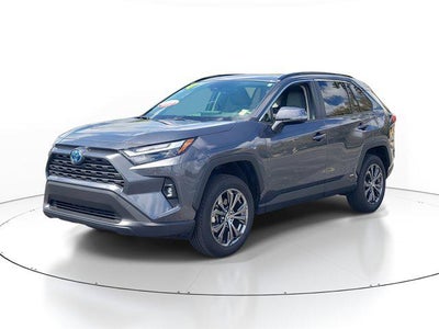2024 Toyota RAV4 HYBRID Hybrid XLE Premium