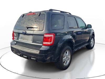 2008 Ford Escape XLT