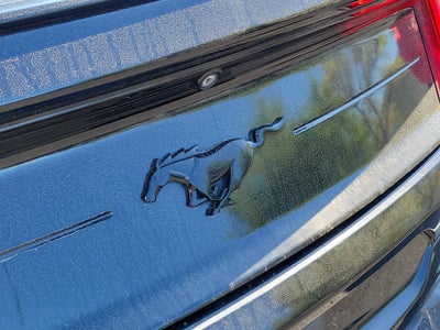 2020 Ford Mustang EcoBoost