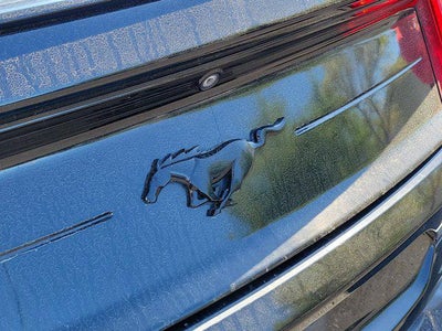 2020 Ford Mustang EcoBoost