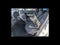 2023 Jeep Renegade Upland